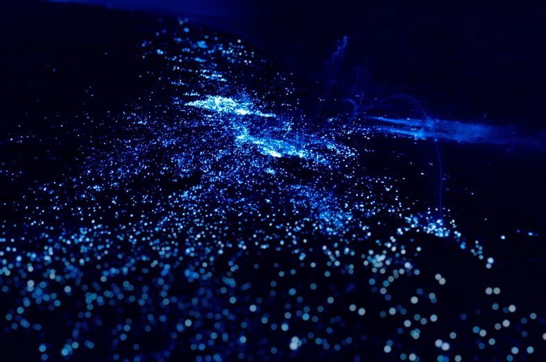 Биолюминесценция. Свечение планктона на Мальдивах.
