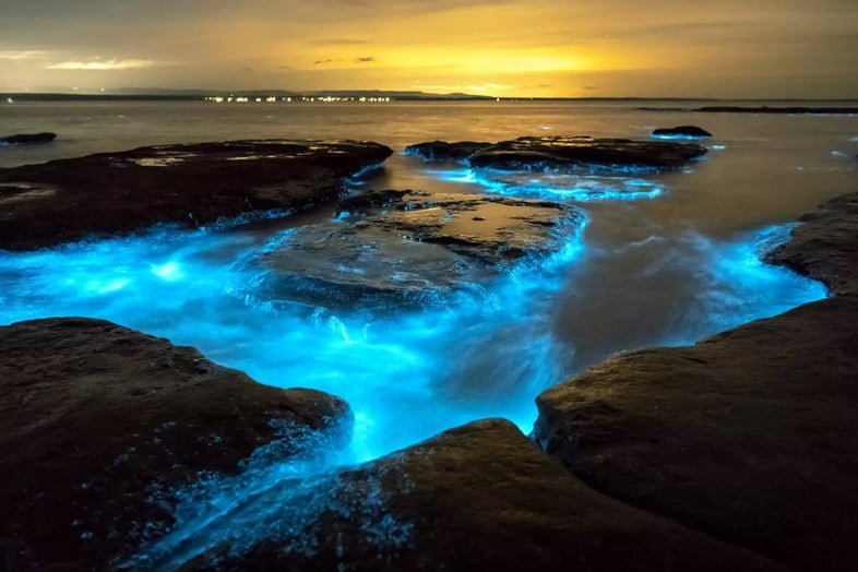 Биолюминесценция освещает залив Джервис на закате