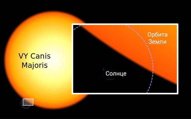 Сравнение VY Большого Пса с Солнцем