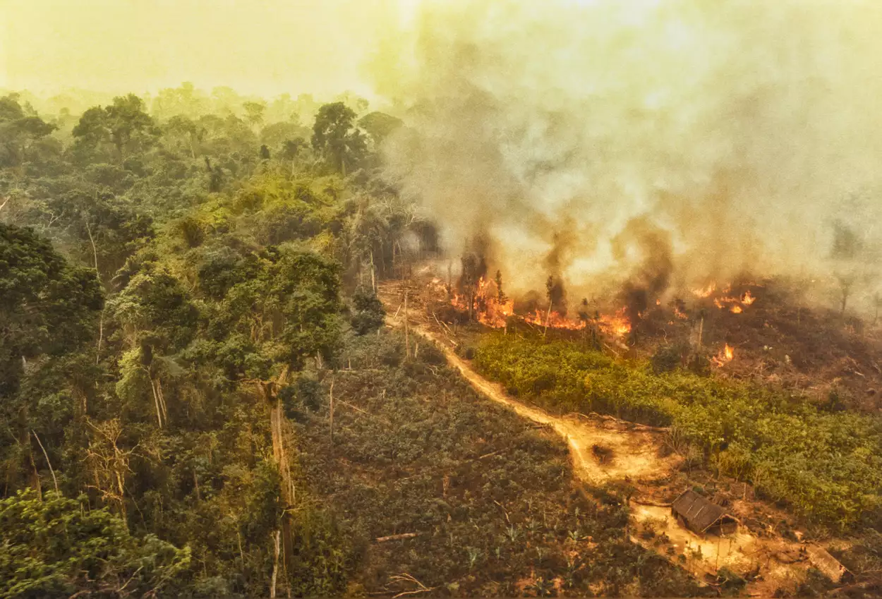 Пожары распространились по лесному массиву в Бразилии