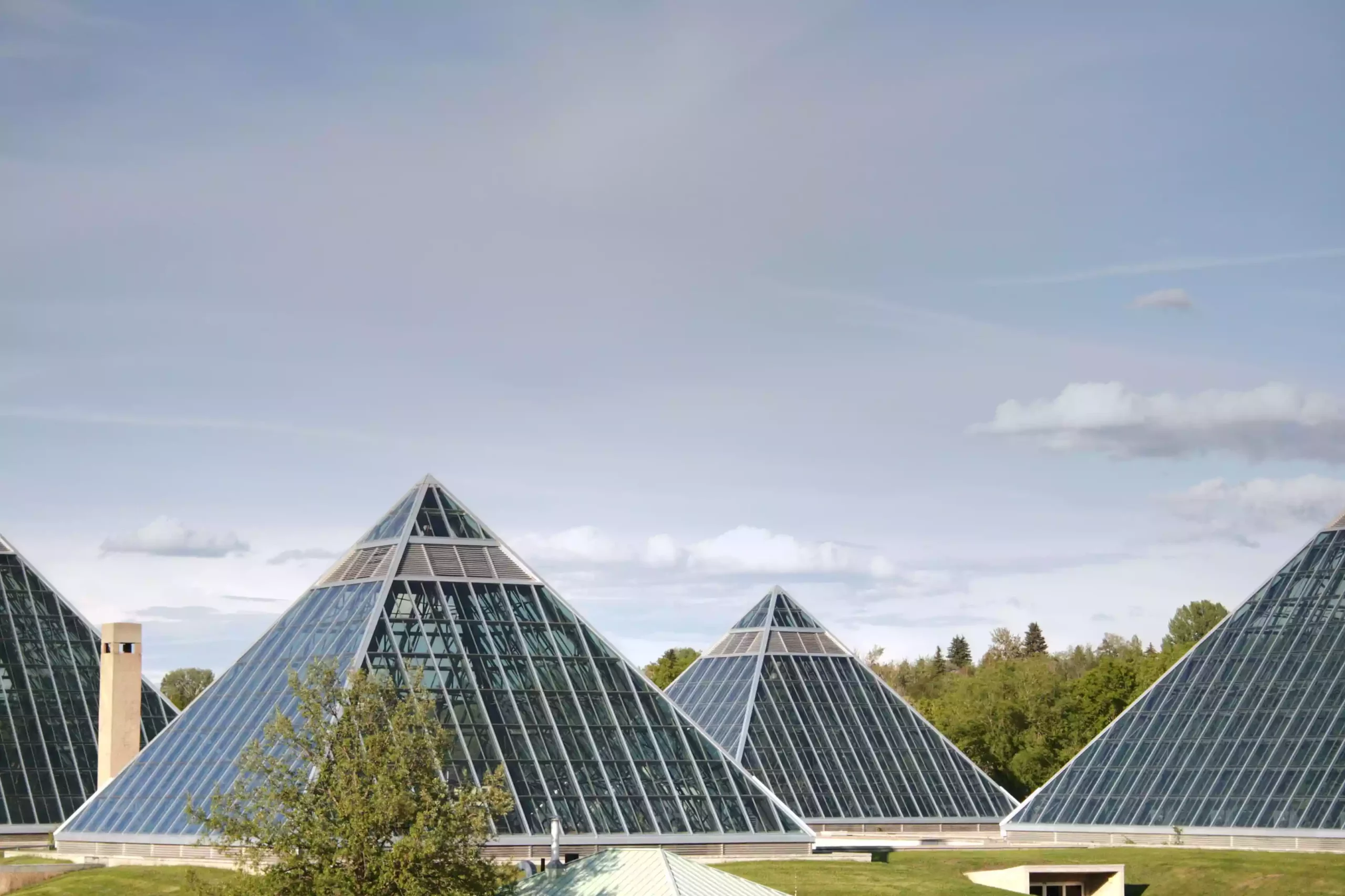 Оранжерея Маттарт в Эдмонтоне, Альберта, Канада
