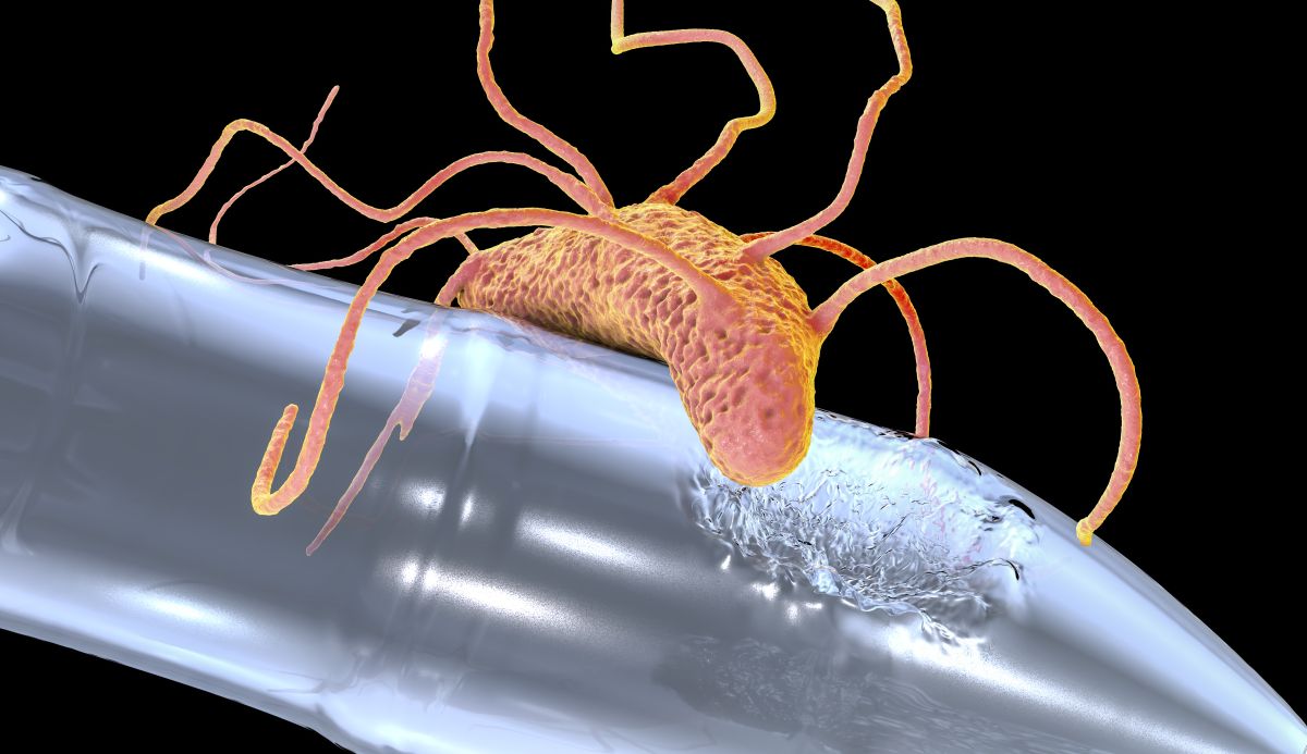 Иллюстрация бактерий, поедающих пластик