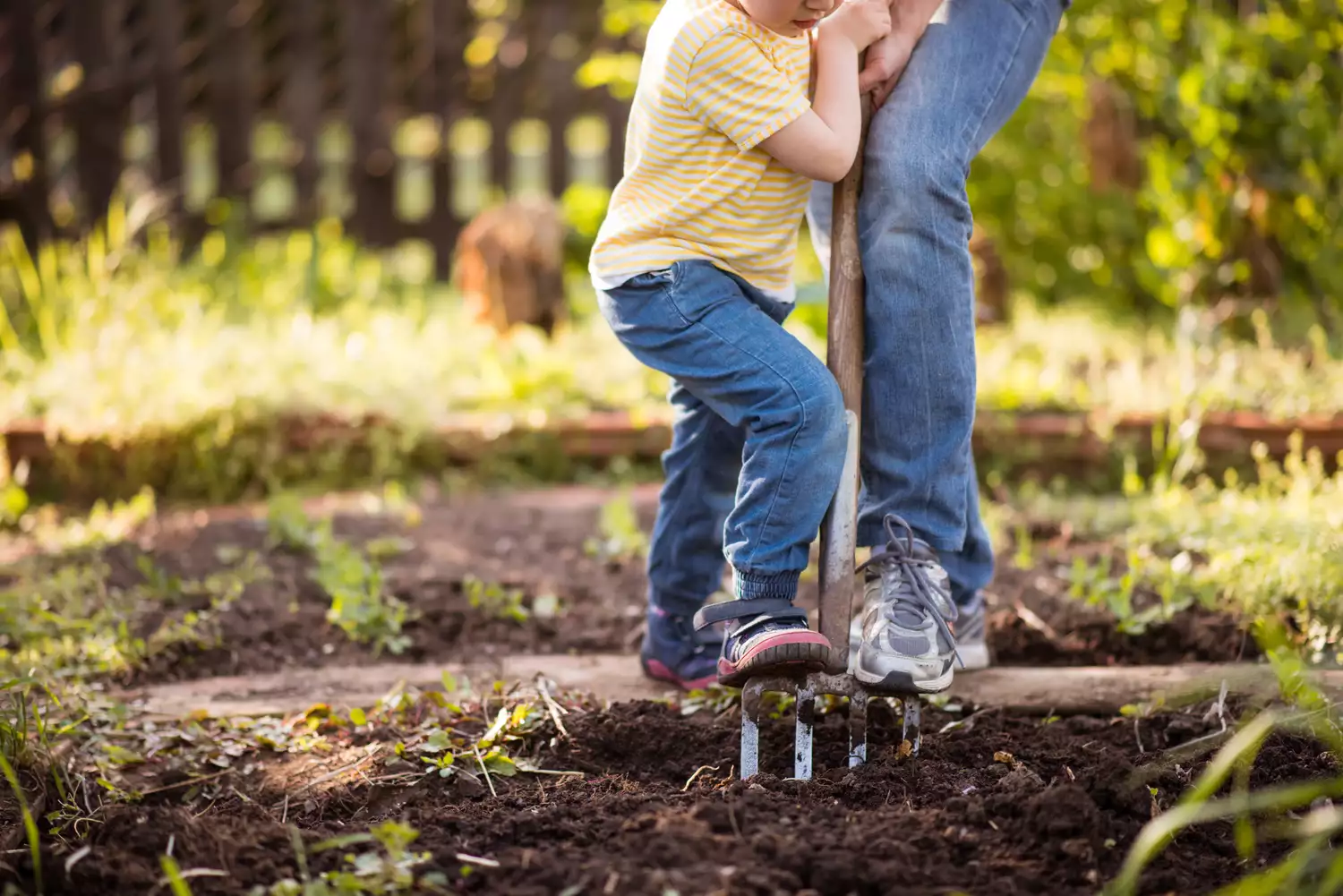 Уход за садом на заднем дворе ребенком и женщиной
