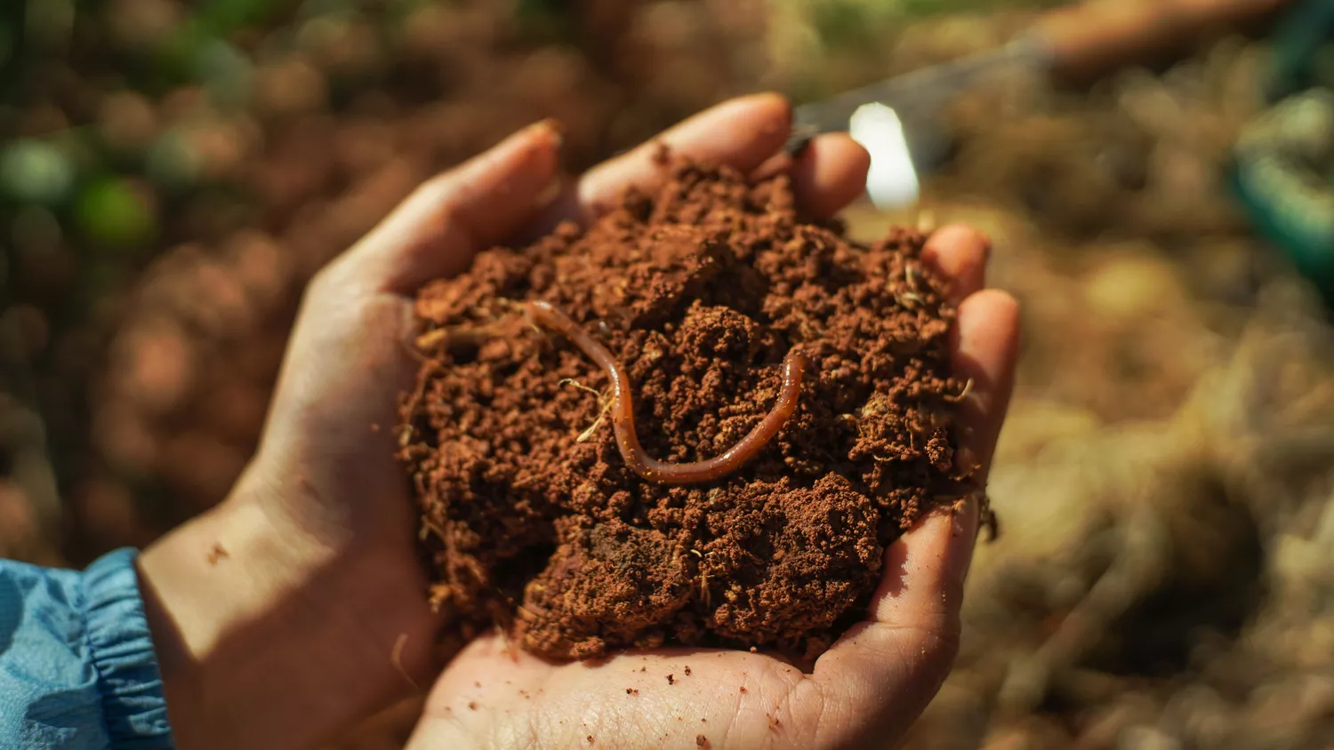 Рука, держащая плодородную почву с дождевым червем