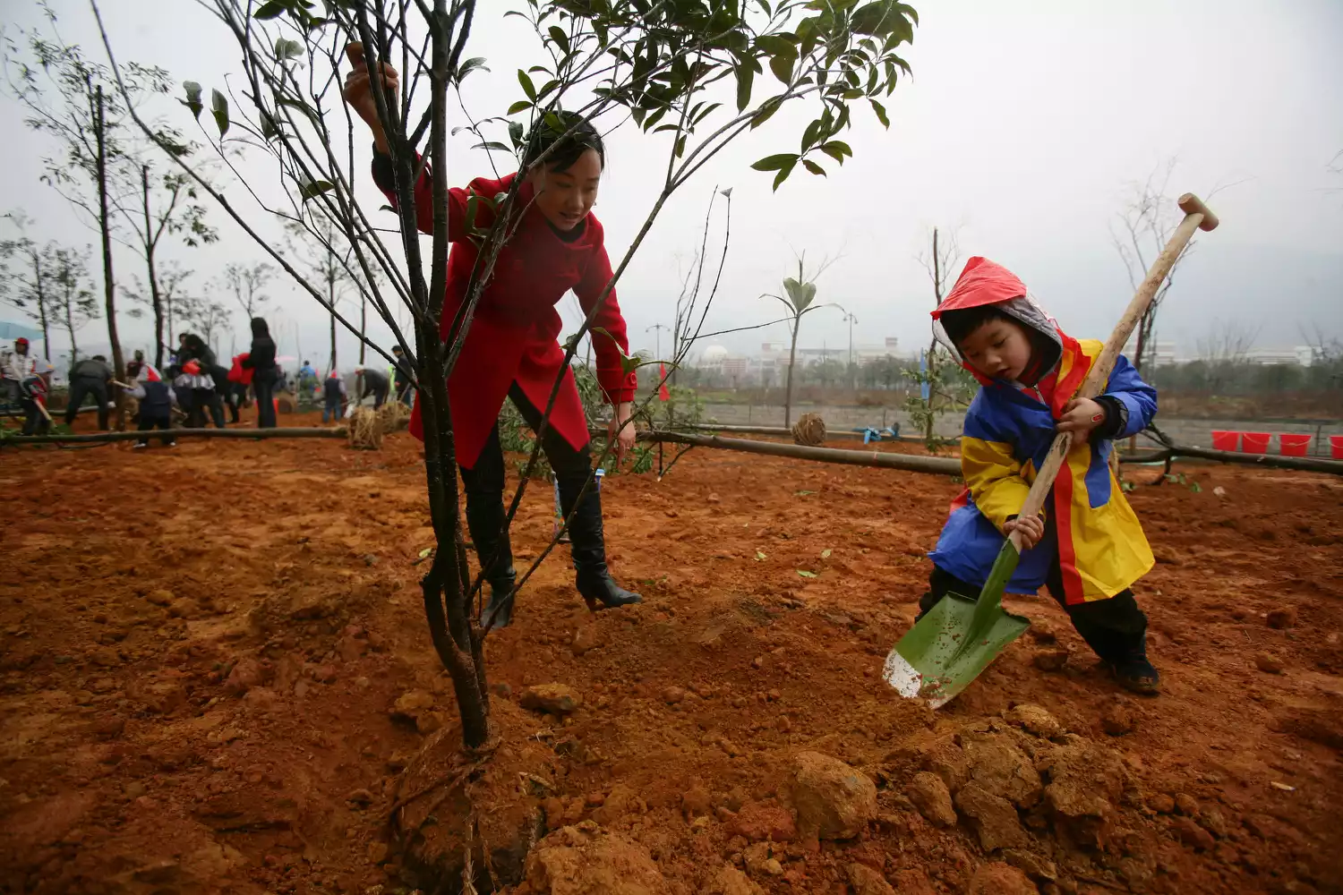 Китай отмечает День посадки деревьев