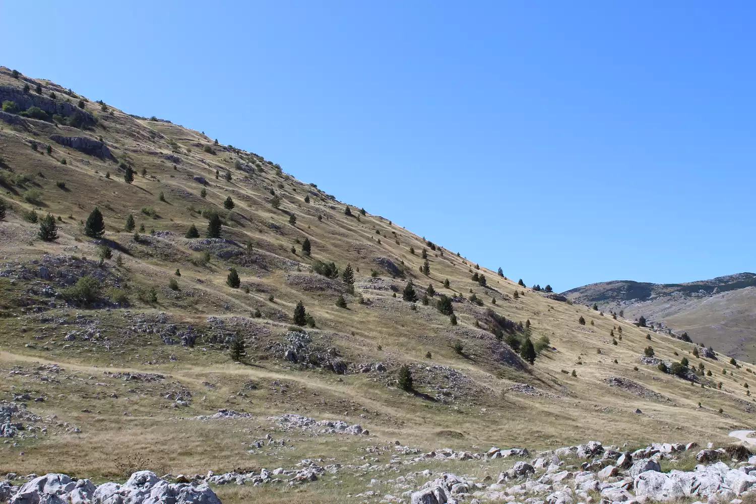 Волнистый, холмистый, скалистый ландшафт боснийской горы Белашница
