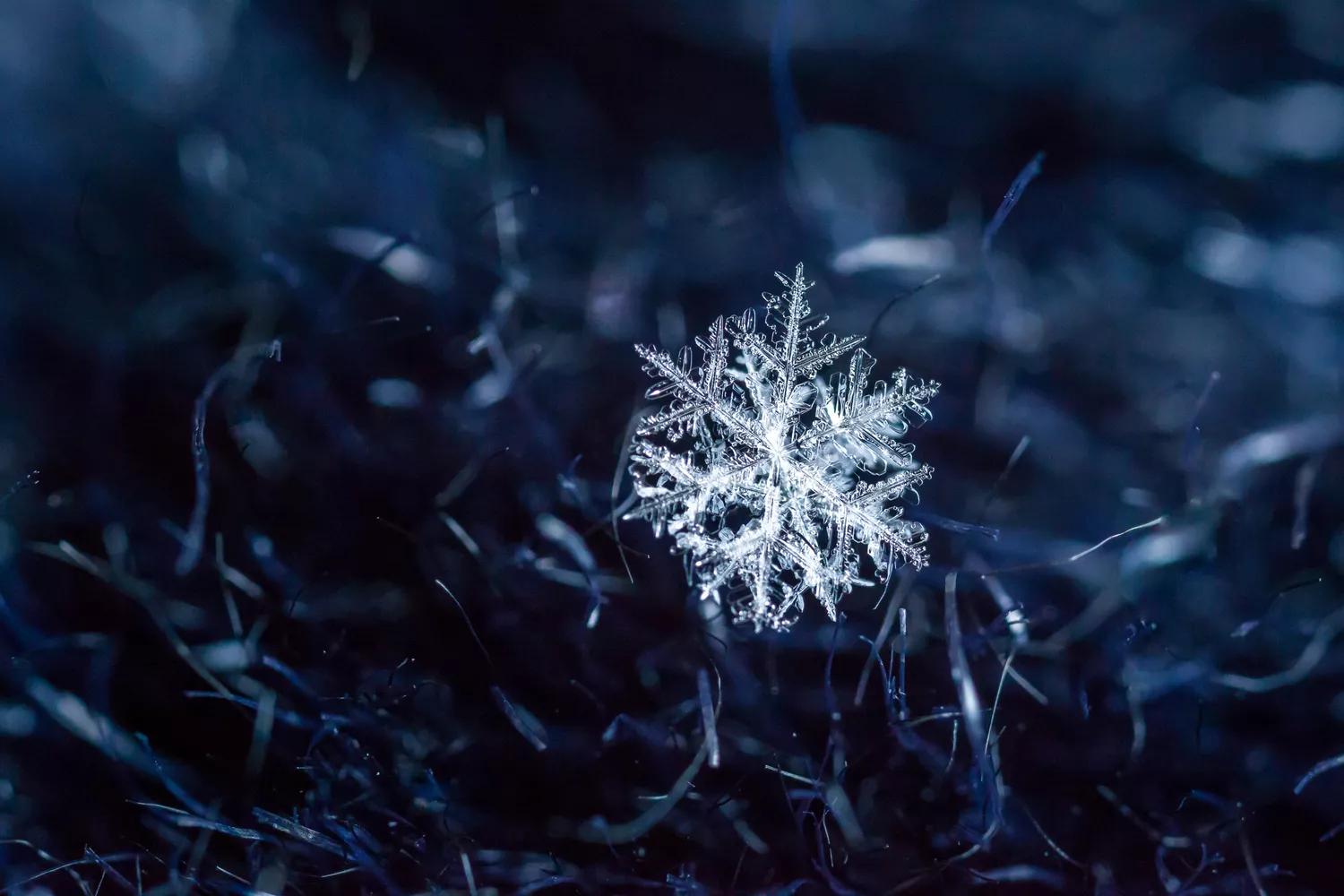 Макроснимок снежинки на темно-синей поверхности