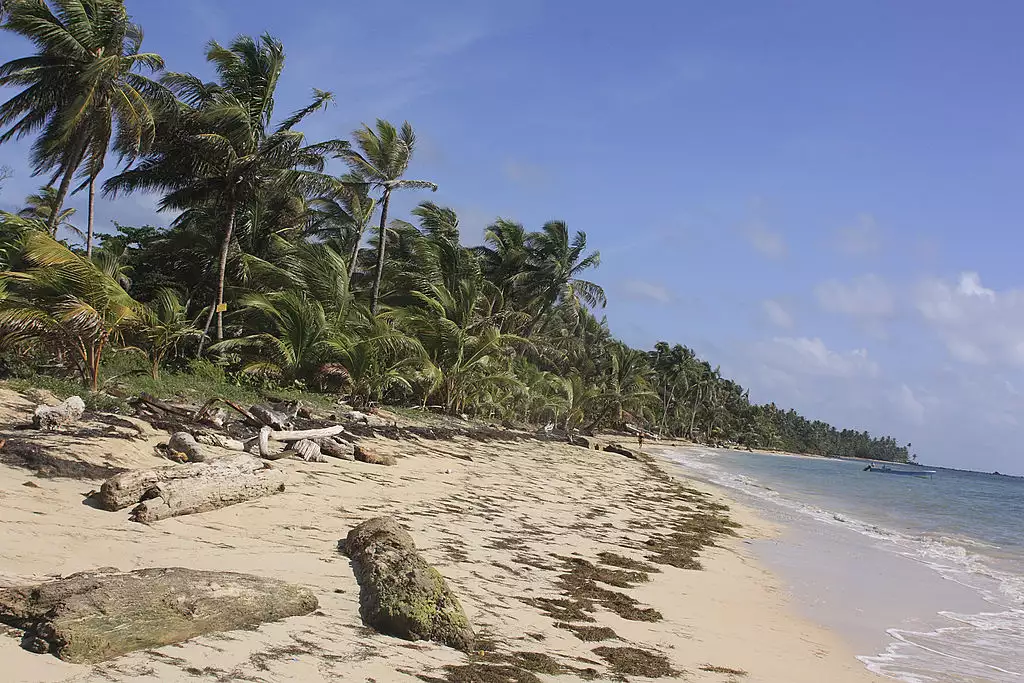 Высокие пальмы, песок и водоросли вдоль береговой линии острова Пекенья дель Маис