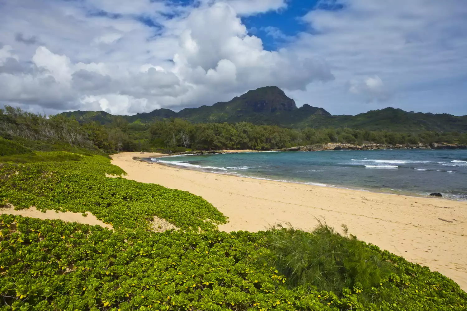 Пышная зеленая листва, чистый песок и голубая вода на пляже Махаулепу, Кауаи