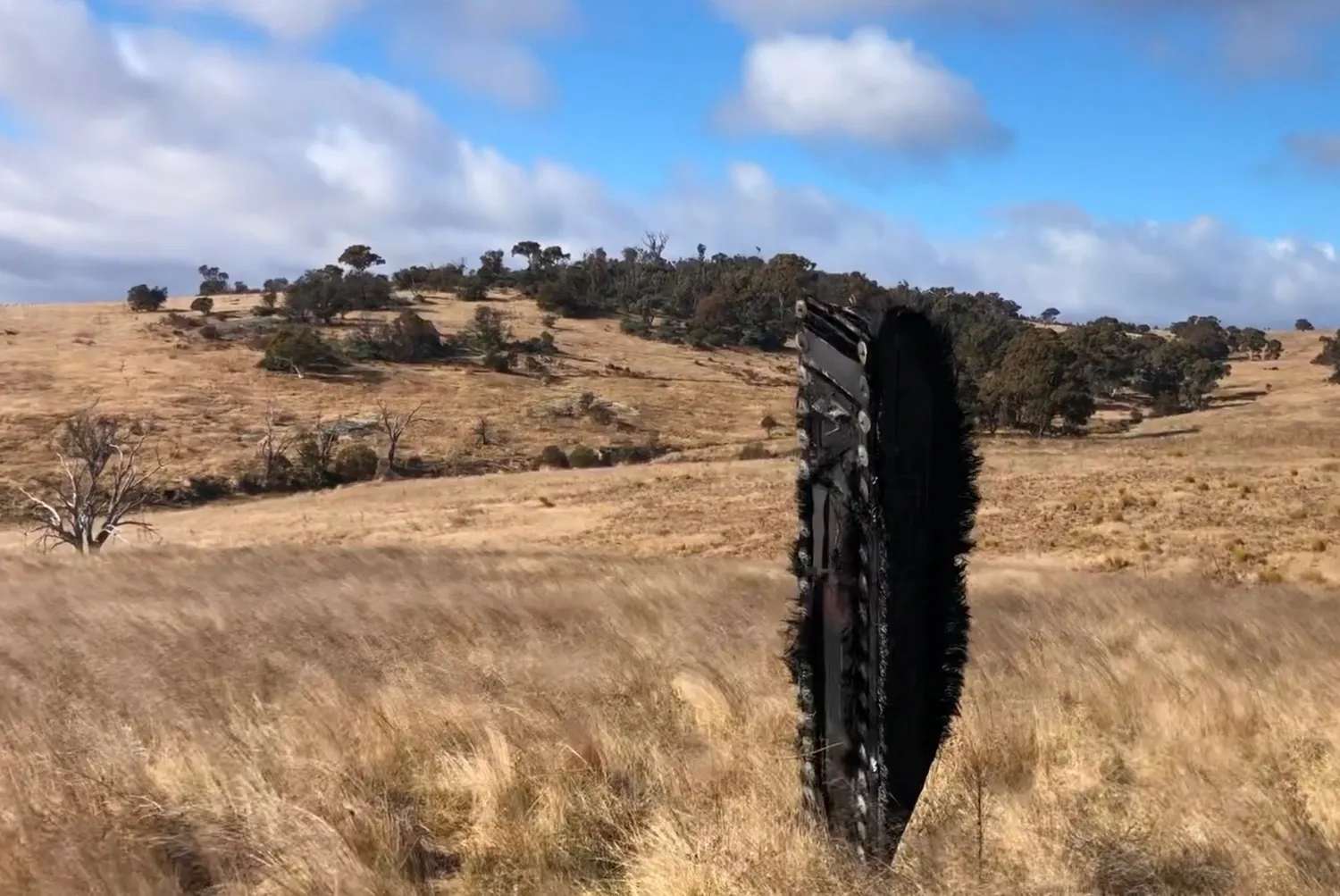 3-метровый обгоревший шип был найден стоящим вертикально на овечьей ферме