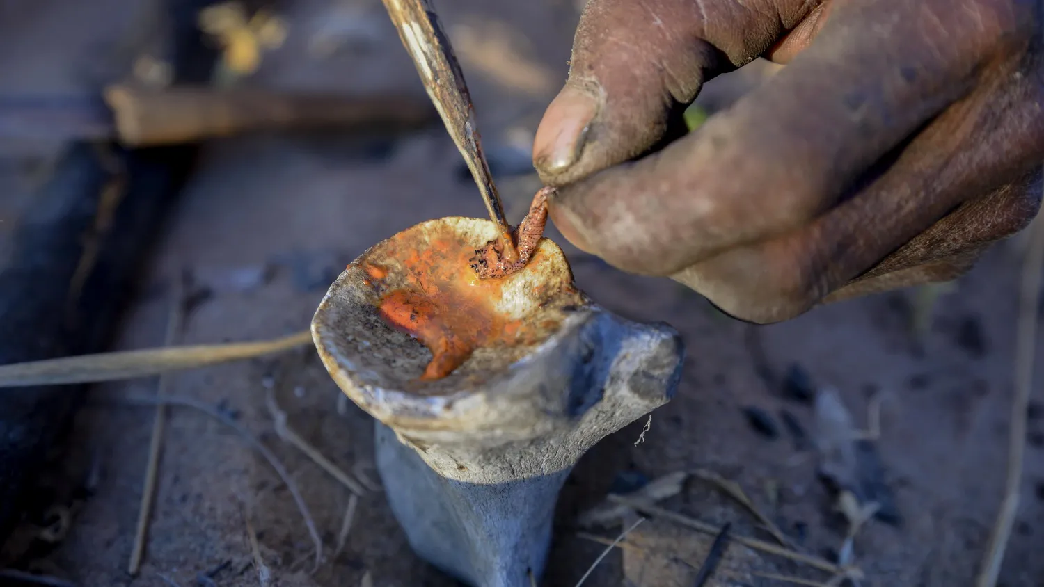 Бушмен изготавливает ядовитые стрелы из личинки жука Diamphidia nigroornata в Намибии