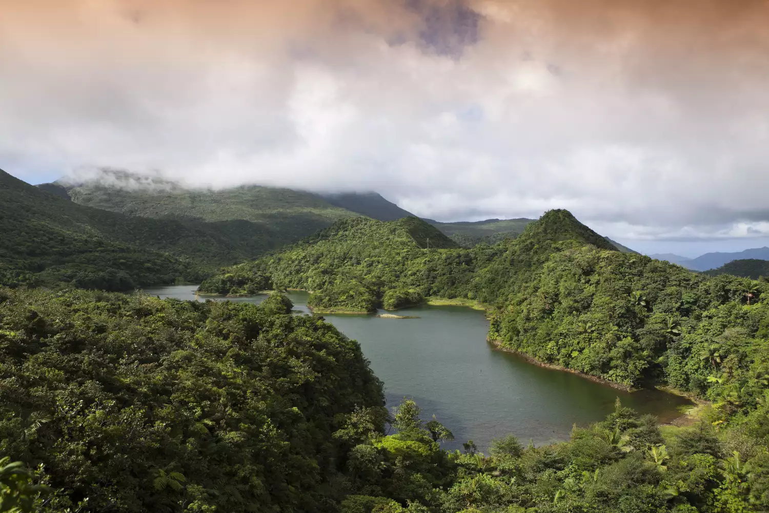 Вид с воздуха на зеленые холмы Доминики