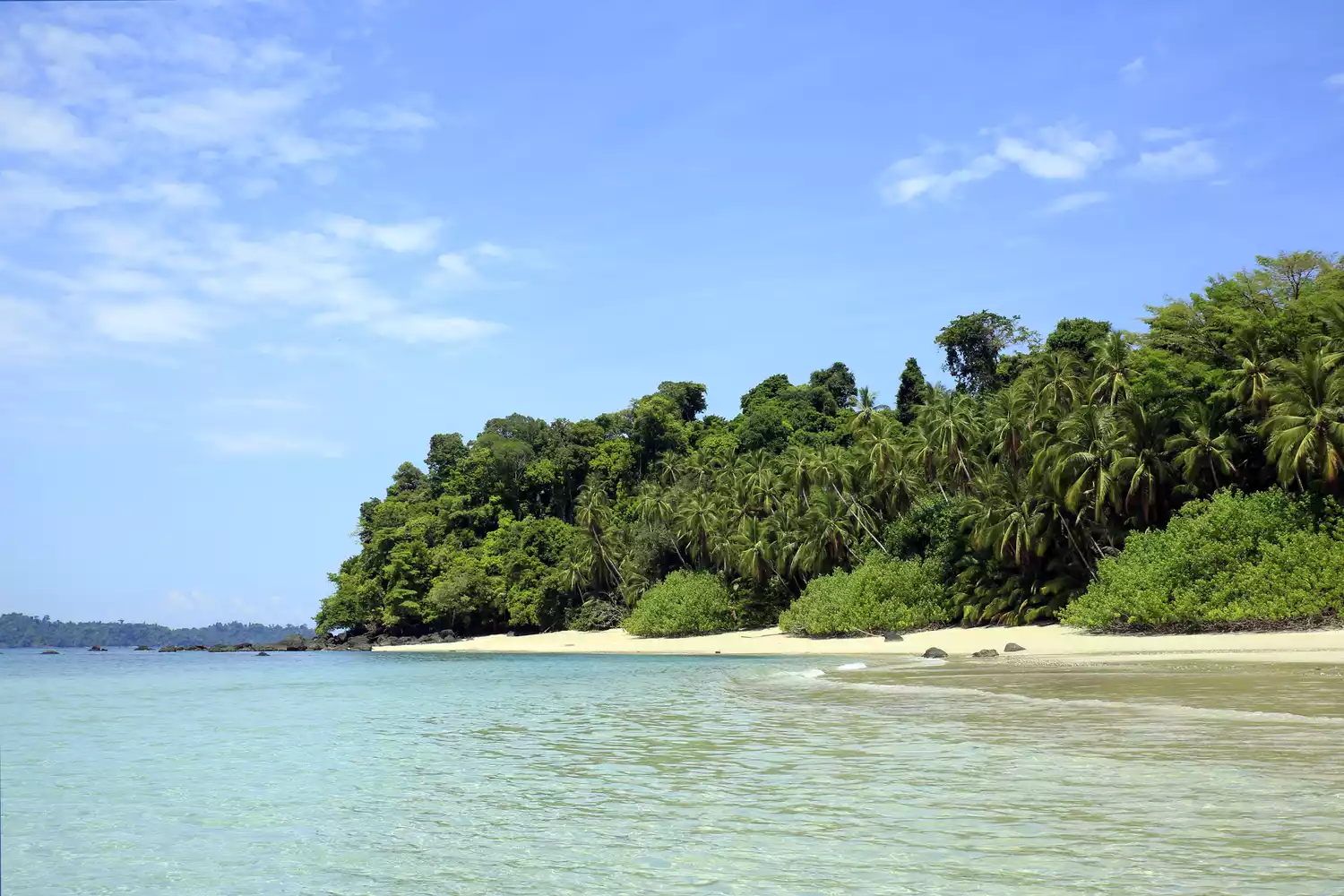 Пляж острова Койба с пышными зелеными деревьями, песком и светло-голубой водой