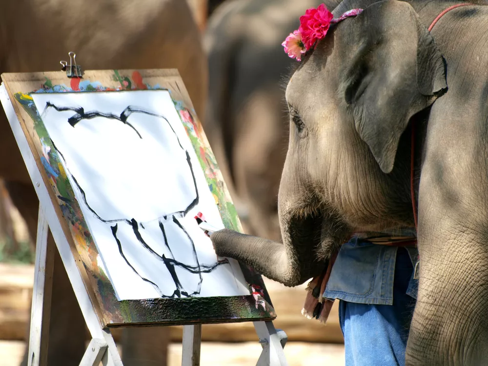 Слон держит кисточку носом, рисуя изображение слона