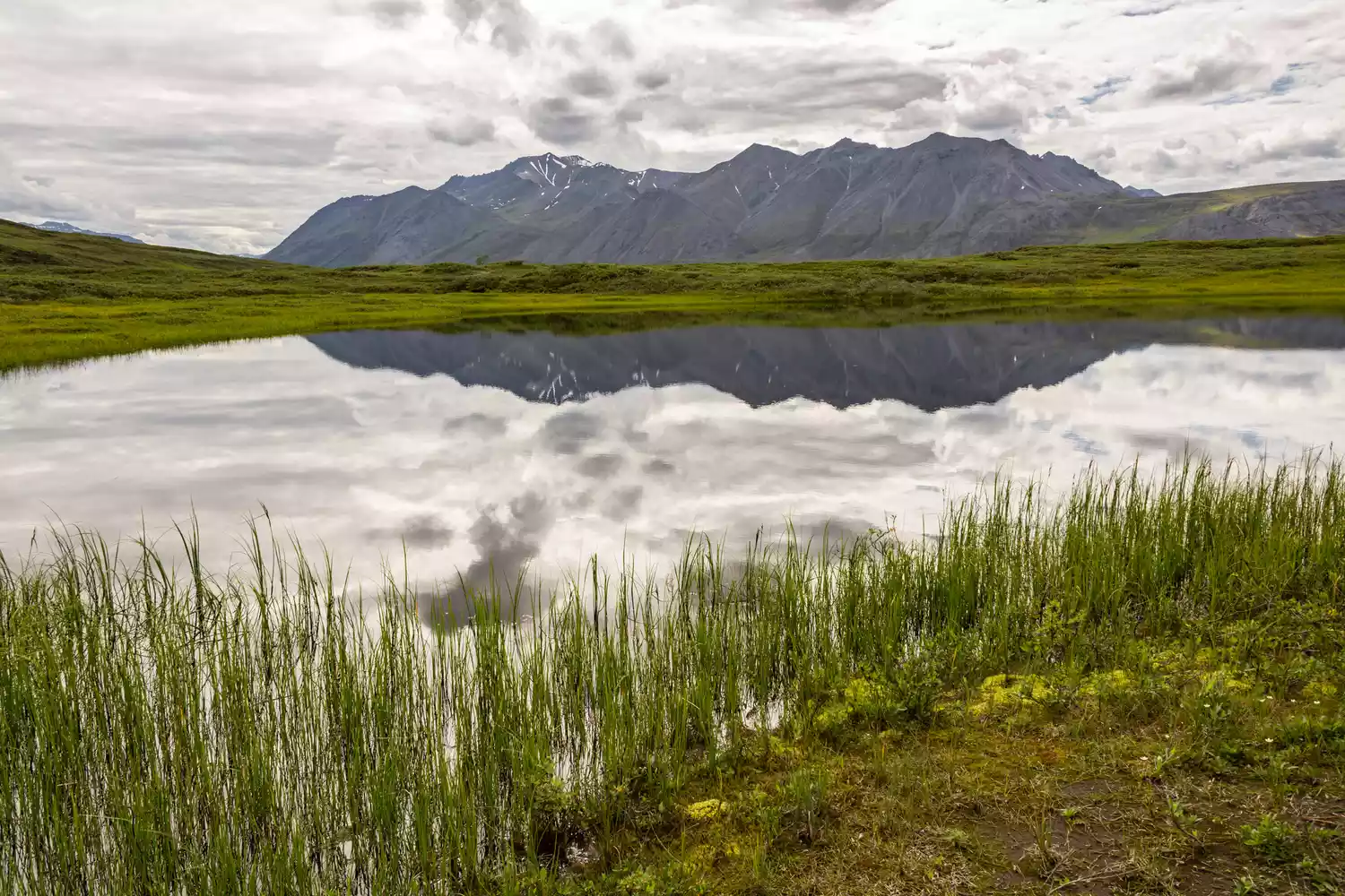 Хребет Брукс и облачное небо отражаются в термокарсте в Арктическом национальном заповеднике на Аляске